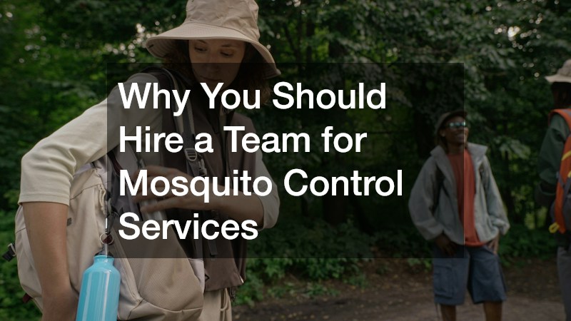 Why You Should Hire a Team for Mosquito Control Services